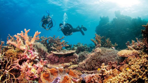 Que faut-il savoir sur la grande Barrière de Corail