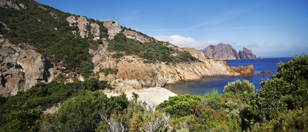 La Réserve naturelle de Scandola : découvrez la réserve naturelle marine et terrestre en Corse