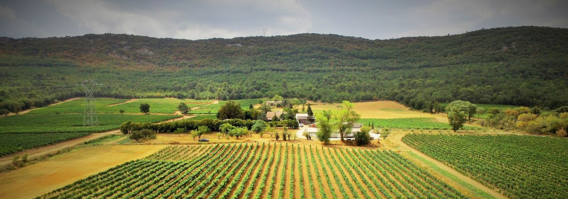 Quels domaines viticoles visiter en Provence ?